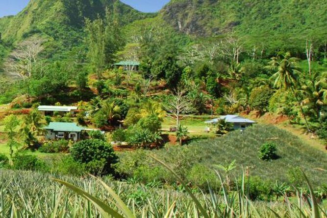 Moorea Aito 4WD Safari Tour - Half day - Who Should Consider This Tour?
