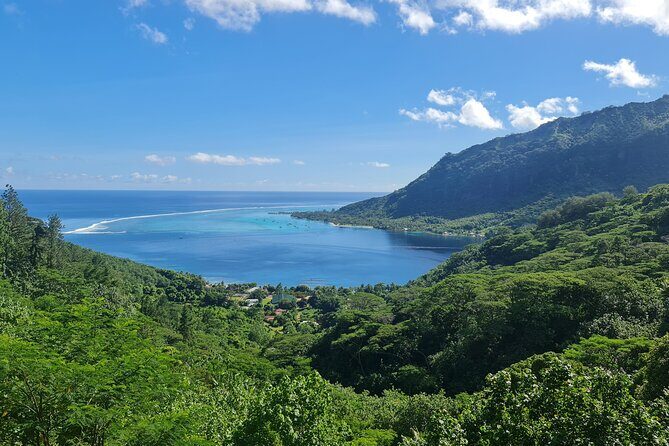 Moorea Aito 4WD Safari Tour - Half day - Final Thoughts