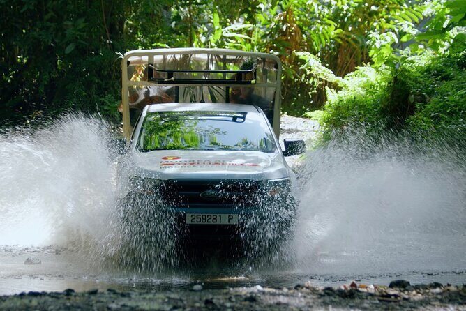 Moorea Cruise Ships: 4x4, Belvedere,Magic Mountain pineaple - Who Would Enjoy This Tour?