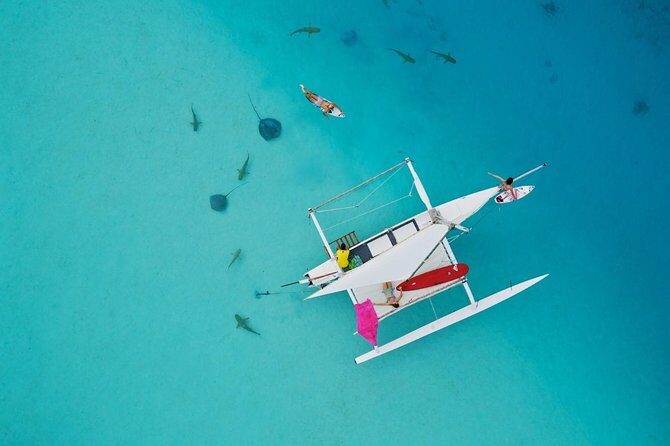 Moorea Discovery Half-day Sailing - Moorea Discovery Half-day Sailing: A Genuine Lagoon Experience