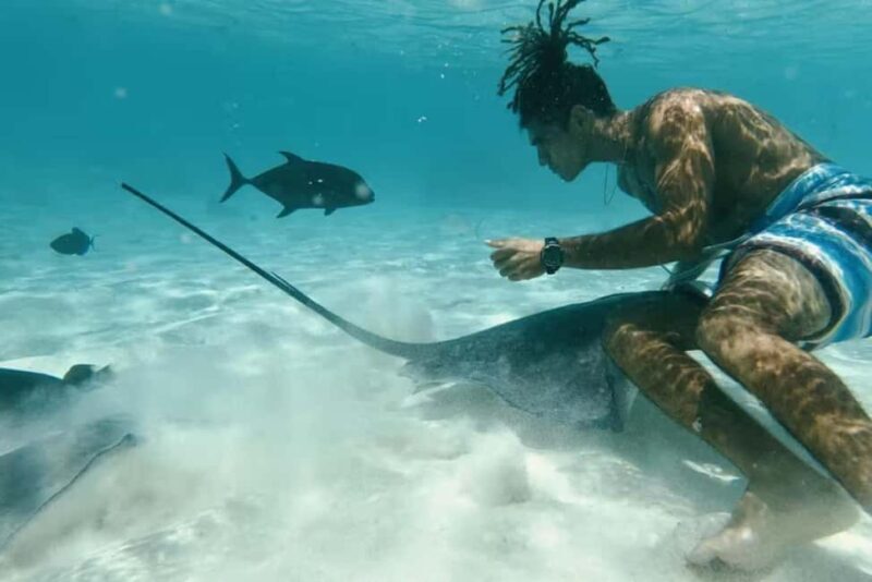 Moorea: Glass Bottom Boat Adventure with Lagoon Wonders - A Deep Dive into Moorea’s Glass Bottom Boat Adventure