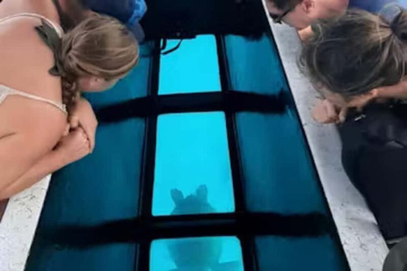 Moorea: Glass Bottom Boat Adventure with Lagoon Wonders - Why This Tour Offers Great Value