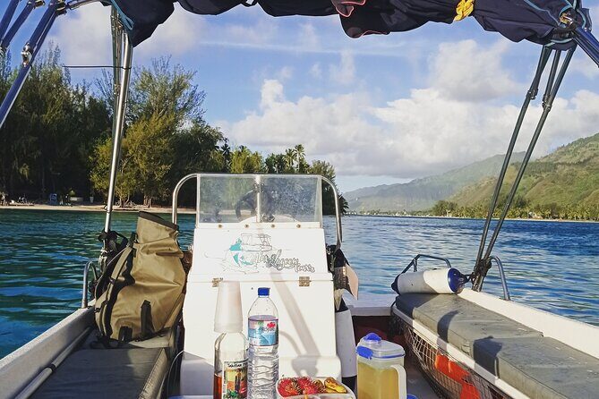 Mo'orea Half Day Private Tour with Snorkeling and Cruising the Lagoon - A Deep Dive into the Experience