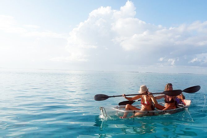 Moorea Lagoon Tour by Transparent Kayak - The Real Deal: A Close-Up Look at Moorea Lagoon Tours