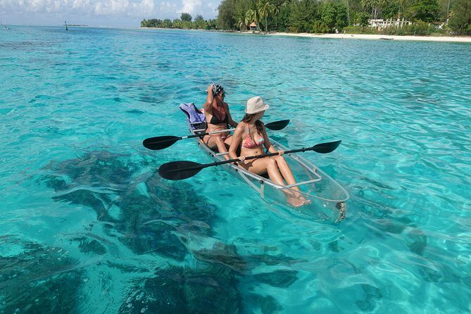 Moorea Lagoon Tour by Transparent Kayak - FAQ