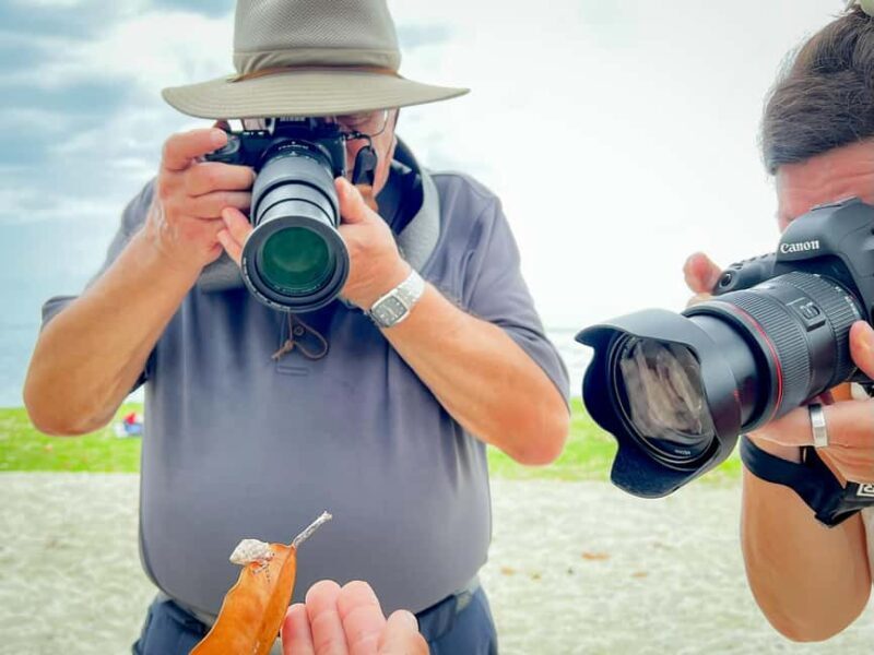 Moorea photographic excursion in private and adapted session - A Close Look at the Moorea Photographic Excursion