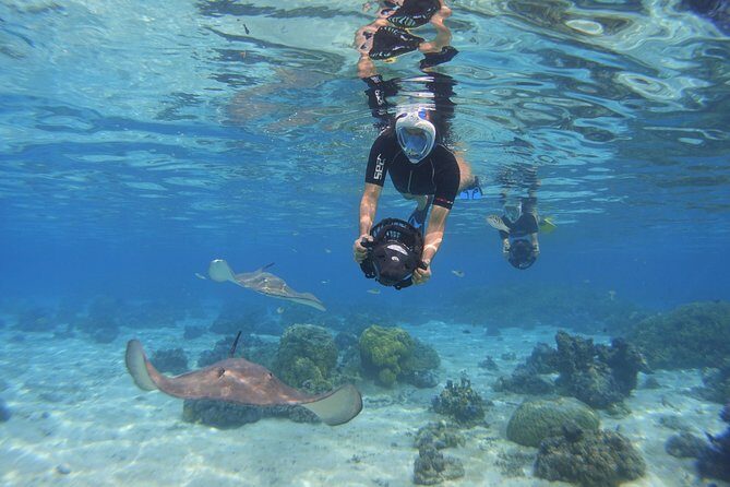 Moorea Private Boat Tour / Sea Scooter Snorkeling Tour - FAQ