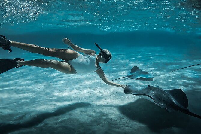 Moorea: Private Snorkeling Tour with Certify Guide - Moorea: Private Snorkeling Tour with Certify Guide – A Complete Review