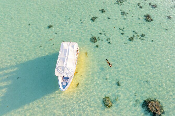 Moorea Sunset Boat Trip - Moorea Sunset Boat Trip: A Truly Memorable Evening on French Polynesia’s Paradise Island
