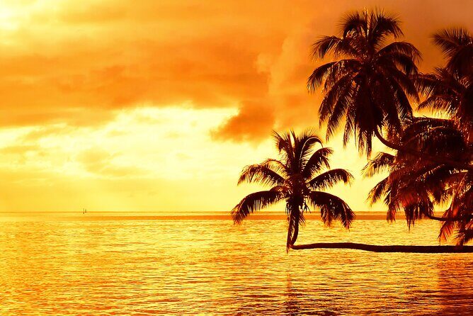 Moorea Sunset Boat Trip - Final Thoughts: Is it Worth It?