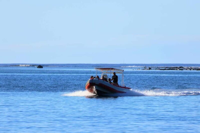 Moorea: Whale watching adventure - Moorea: Whale Watching Adventure – A Close Encounter with Nature’s Gentle Giants