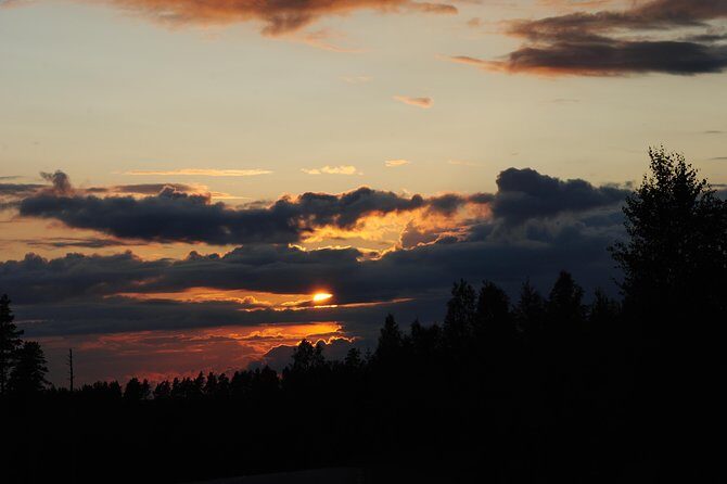 Moose safari in the wild Sweden Tiveden - Who Will Enjoy This Tour Most?