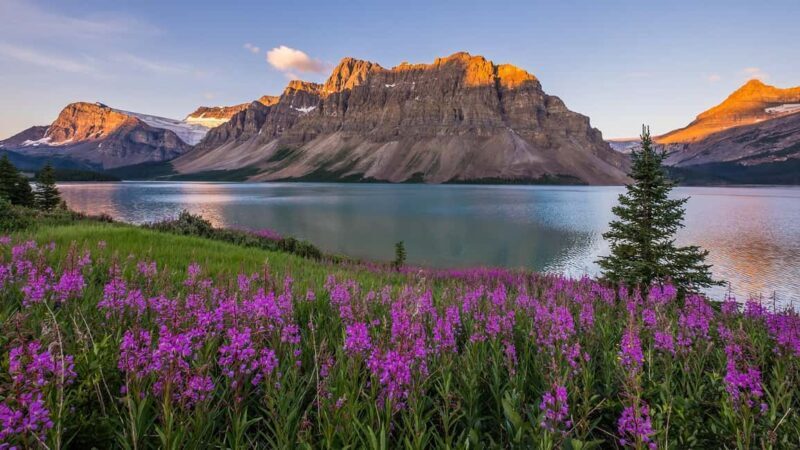 Moraine Lake and Iconic Sights of the Rockies Private Tour - Moraine Lake and Iconic Sights of the Rockies Private Tour
