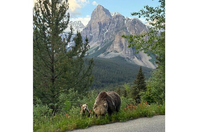 Moraine Lake, Lake Louise Afternoon Tour Half day From Banff - Exploring the Itinerary in Detail