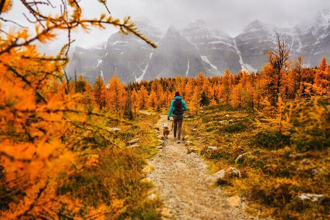 Moraine Lake: Larch Valley Hike, Departure from Banff - An Authentic Day in Banff: Hiking Larch Valley and Moraine Lake