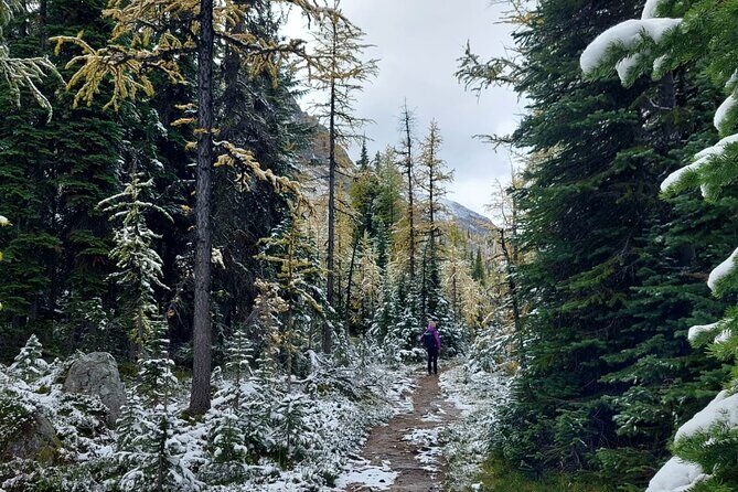 Moraine Lake: Larch Valley Hike, Departure from Banff - Practical Details and Tips