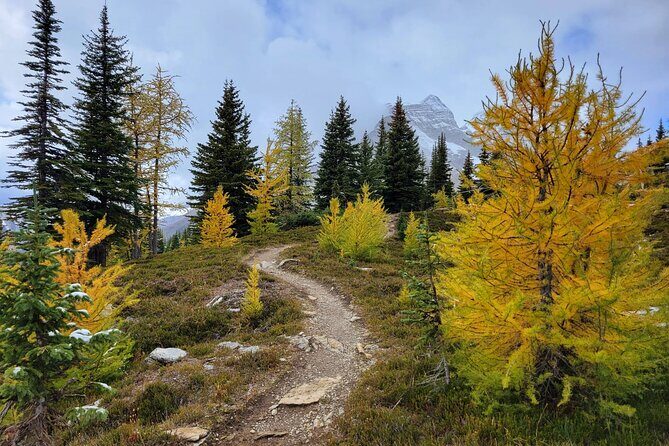 Moraine Lake: Larch Valley Hike, Departure from Banff - The Sum Up: Is This Tour for You?