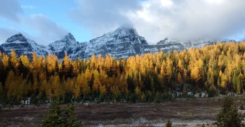 Moraine Lake & Larch Valley Hike - Key Points