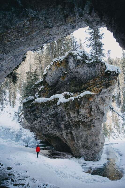 Moraine Lake Louise Emerald Johnston Canyon Banff Yoho Tour - Key Points