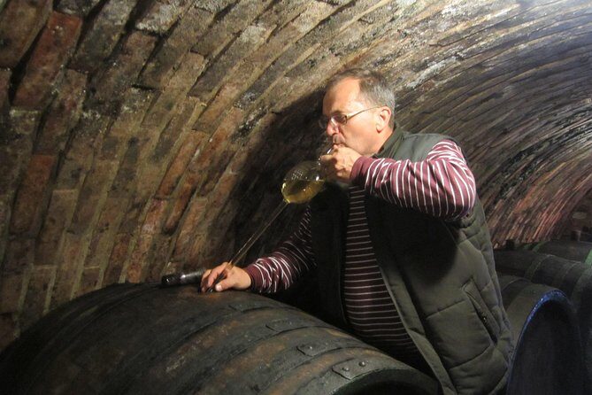 Moravian wine trails - Final Thoughts
