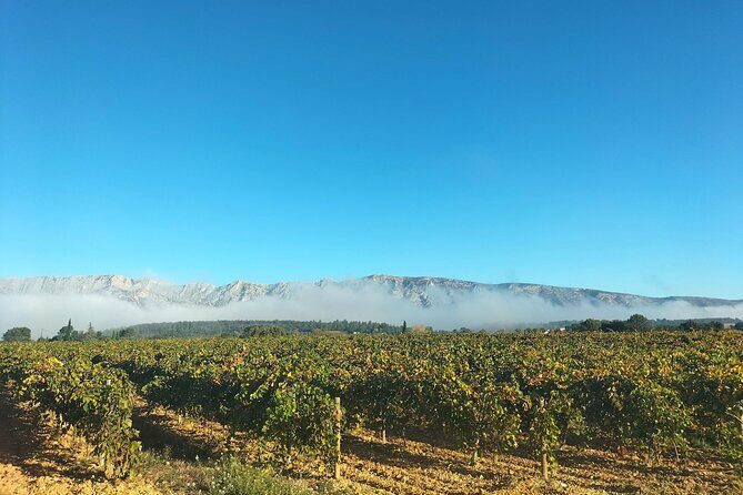 More than a wine tour : day like a local in authentic countryside - FAQ