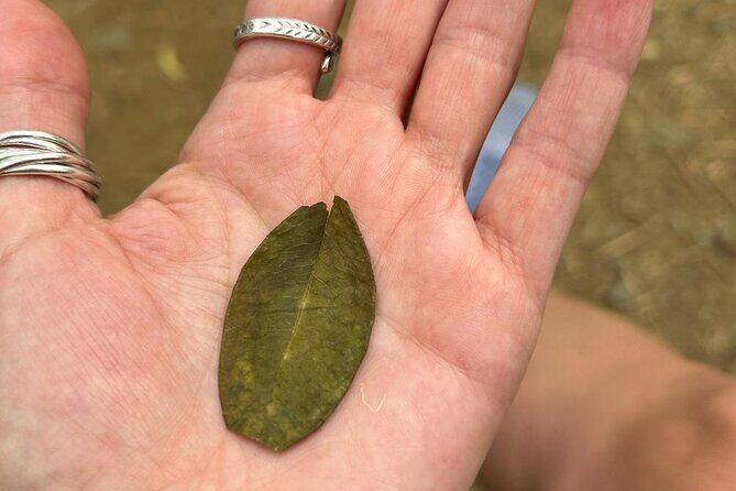 More than Escobar Tour - The Value for Money