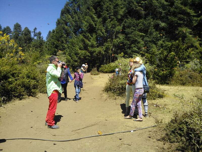 Morelia: Monarch Butterfly Tour - Authentic Testimonials