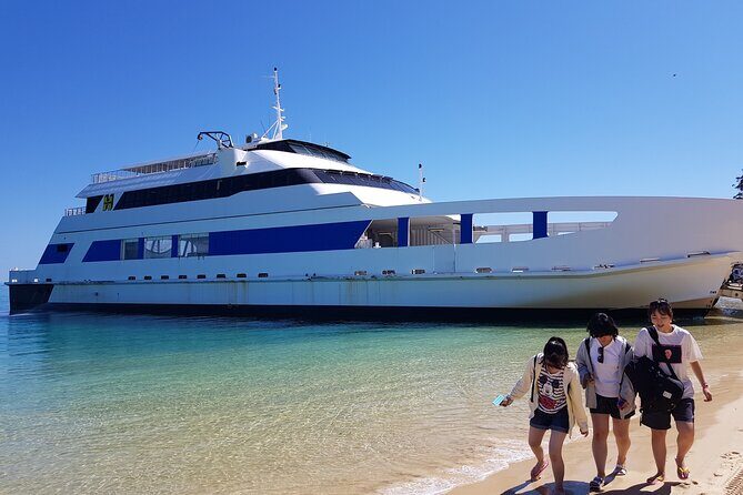 Moreton Island Day Trip (Kayak, Snorkel & Sandboard) frm Brisbane or Gold Coast - Price and Value Analysis