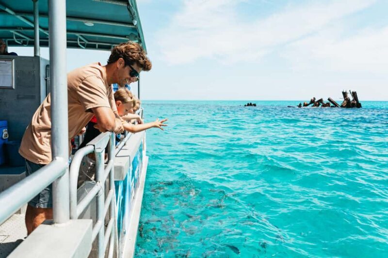 Moreton Island: Marine Discovery Cruise & Dolphin Feeding - Moreton Island: Marine Discovery Cruise & Dolphin Feeding — An Honest Look