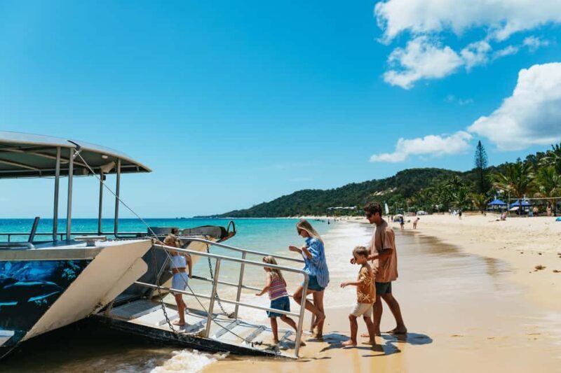 Moreton Island: Marine Discovery Cruise & Dolphin Feeding - The Good, the Bad, and the Practical