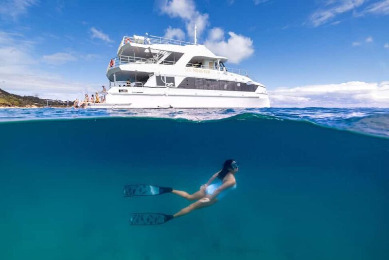 Moreton Island: Premium Tangalooma Snorkel & Dolphin Tour - Why This Tour Offers Great Value