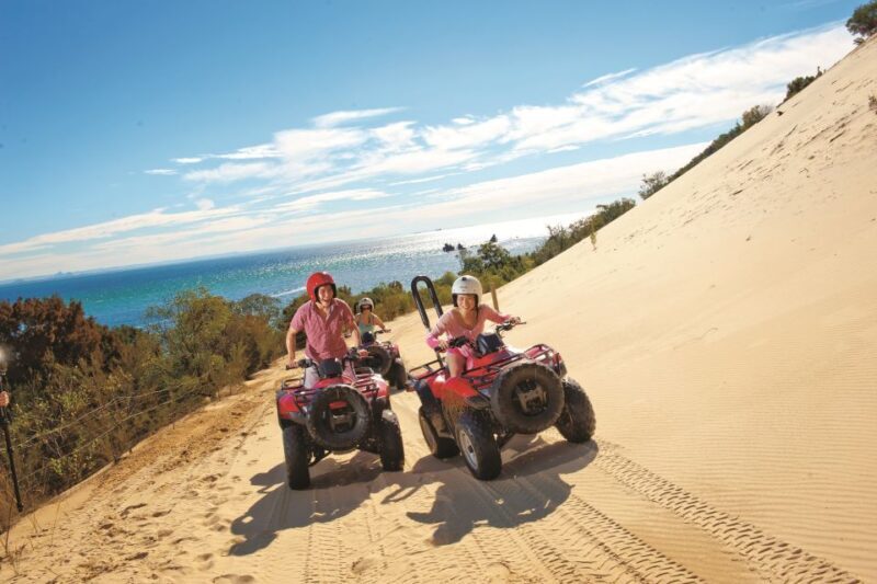 Moreton Island: Tangalooma ATV Quad Bike and Dolphin Viewing - Activities at Tangalooma Island Resort