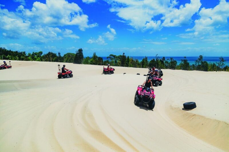 Moreton Island: Tangalooma ATV Quad Bike & Dolphin Feeding - Key Points