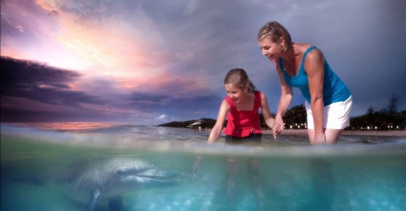 Moreton Island: Tangalooma ATV Quad Bike & Dolphin Feeding - FAQs
