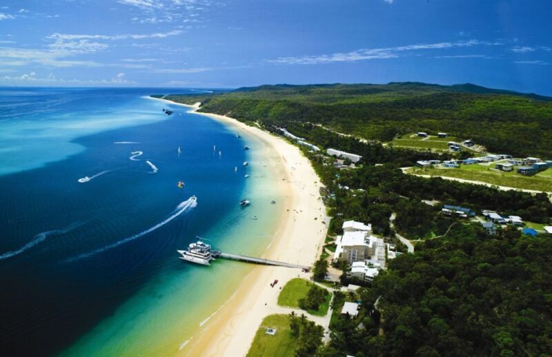 Moreton Island: Tangalooma Day Trip & Whale Watching Cruise - Who Should Consider This Tour?