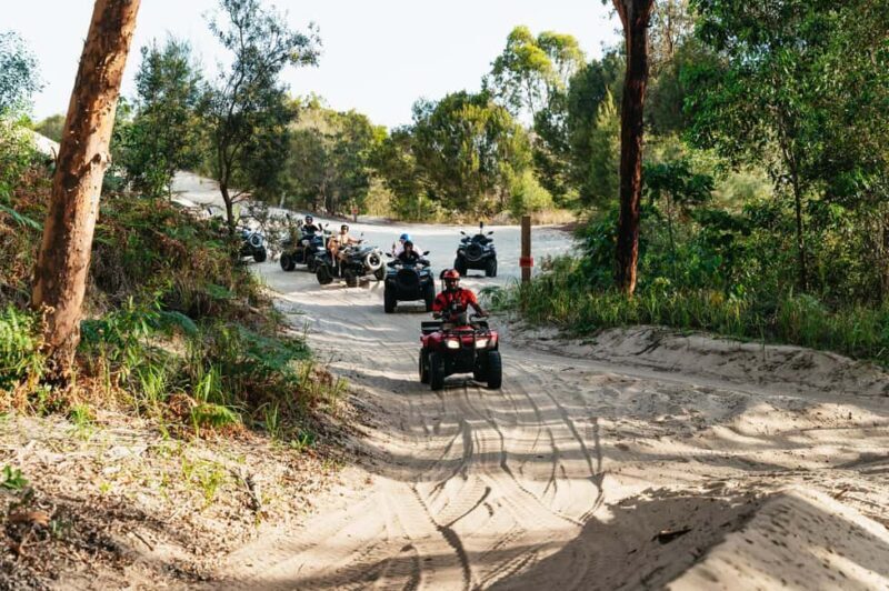Moreton Island: Tangalooma Day Trip with ATV Quad Bike Tour - Key Points