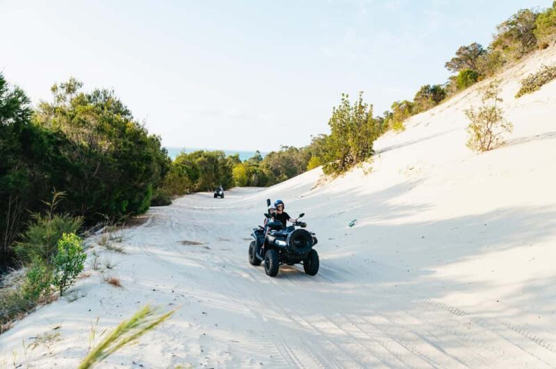 Moreton Island: Tangalooma Day Trip with ATV Quad Bike Tour - Learning and Wildlife Encounters