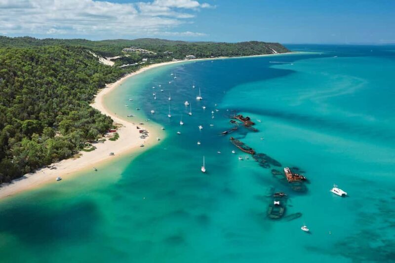 Moreton Island: Tangalooma Day Trip with Desert Safari - Authentic Experiences: What Real Travelers Say