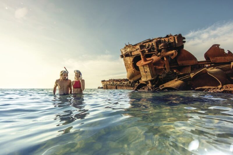 Moreton Island: Tangalooma Day Trip with Snorkeling Tour - Eco Ranger Experiences and Dolphin Presentation
