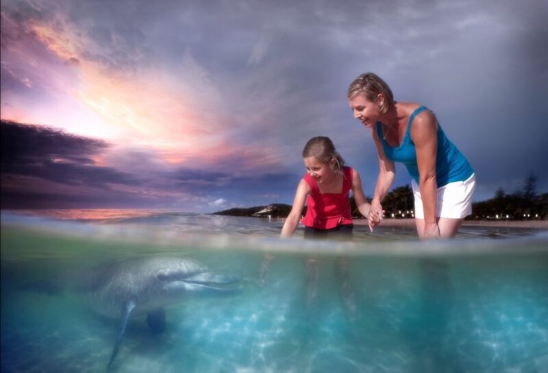 Moreton Island: Tangalooma Desert Safari and Dolphin Feeding - A Deep Dive into the Experience