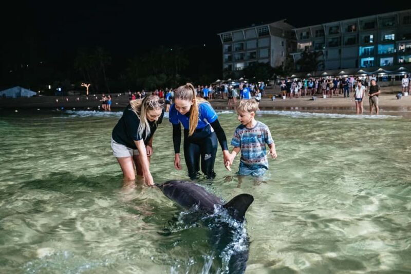Moreton Island: Tangalooma Desert Safari and Dolphin Feeding - Potential Drawbacks and Considerations