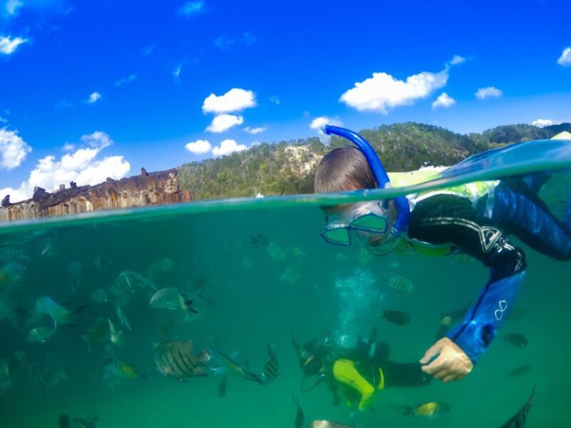Moreton Island: Tangalooma Snorkeling Tour & Dolphin Feeding - Who Will Love This Tour?