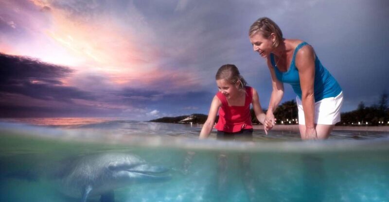 Moreton Island: Tangalooma Snorkeling Tour & Dolphin Feeding - FAQ