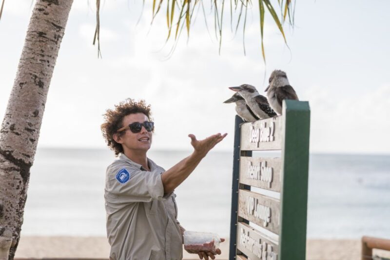 Moreton Island: Tangalooma Whale Watching & Dolphin Feeding - Return to Brisbane