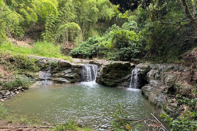 Morgan's Pond Cave and Christiana Extinct Volcanic Crater Hike - Why Consider This Tour?