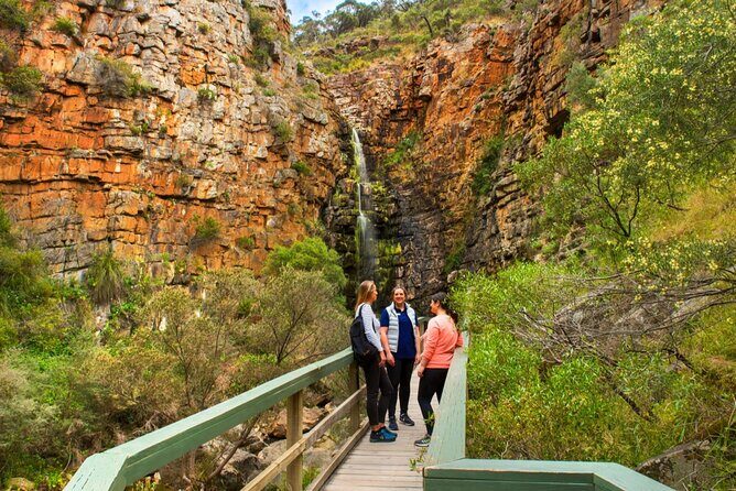 Morialta Wilderness and Wildlife Hike - A Deep Dive into the Morialta Wilderness and Wildlife Hike