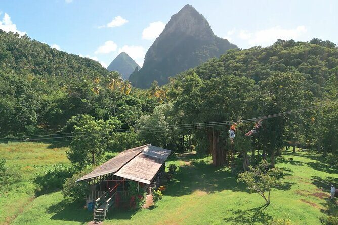 Morne Coubaril 3 in 1 Zipline Rum Chocolate and Lunch Experience - A Fun and Flavorful Ride Through St. Lucia’s Morne Coubaril Estate