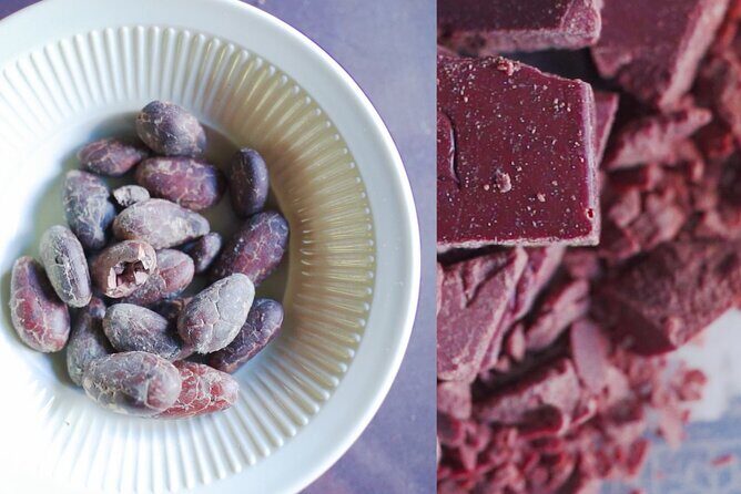 Morne Coubaril 3 in 1 Zipline Rum Chocolate and Lunch Experience - The Experience from Real Travelers