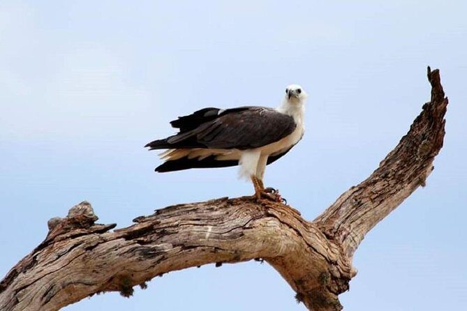 Morning 07 Hour Private Safari at Yala National Park by Yala La Safari Tours - Final Thoughts