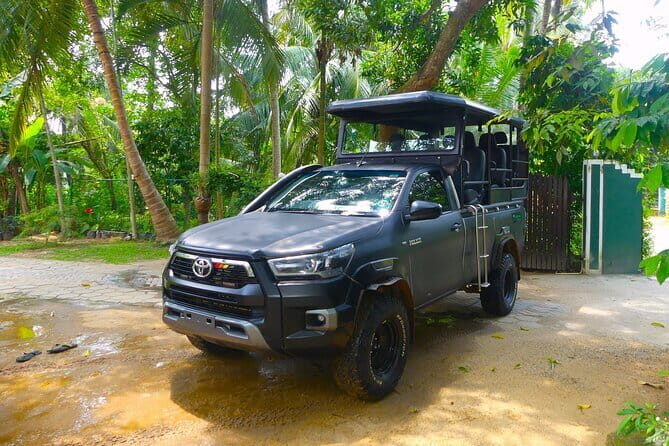 Morning 07 Hour Shared Safari at Yala National Park by Yala La Safari Tours - Key Points